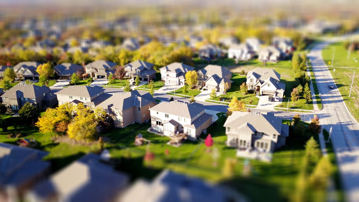 A picturesque and peaceful street in an affordable Louisville suburb, with modest homes, green lawns, and mature trees on a bright, sunny day.